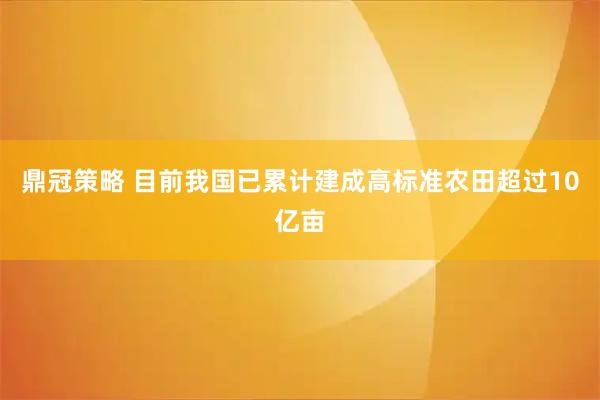 鼎冠策略 目前我国已累计建成高标准农田超过10亿亩