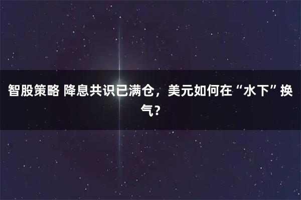 智股策略 降息共识已满仓，美元如何在“水下”换气？