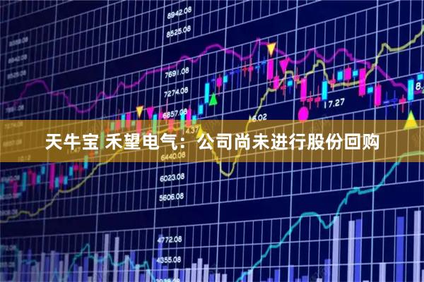 天牛宝 禾望电气：公司尚未进行股份回购