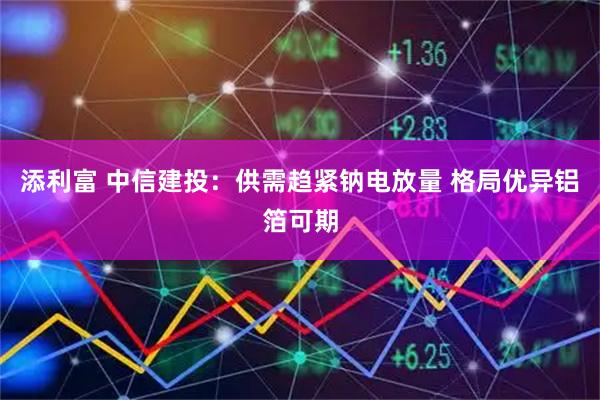 添利富 中信建投：供需趋紧钠电放量 格局优异铝箔可期