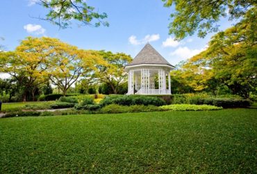 新加坡免费景点：植物园