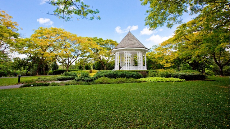 新加坡免费景点：植物园